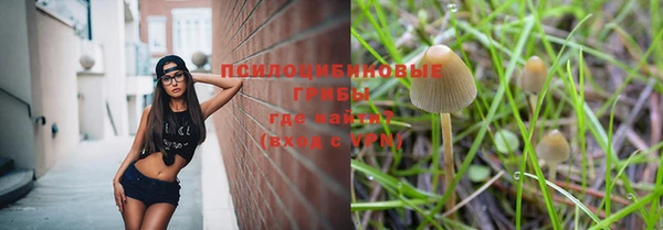 МДМА Арсеньев