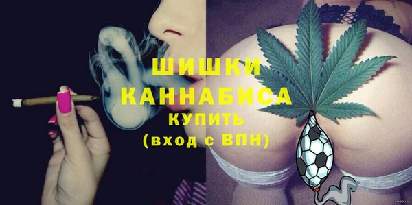 СК Аркадак