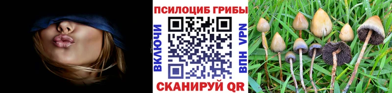 Псилоцибиновые грибы Magic Shrooms  Нязепетровск 